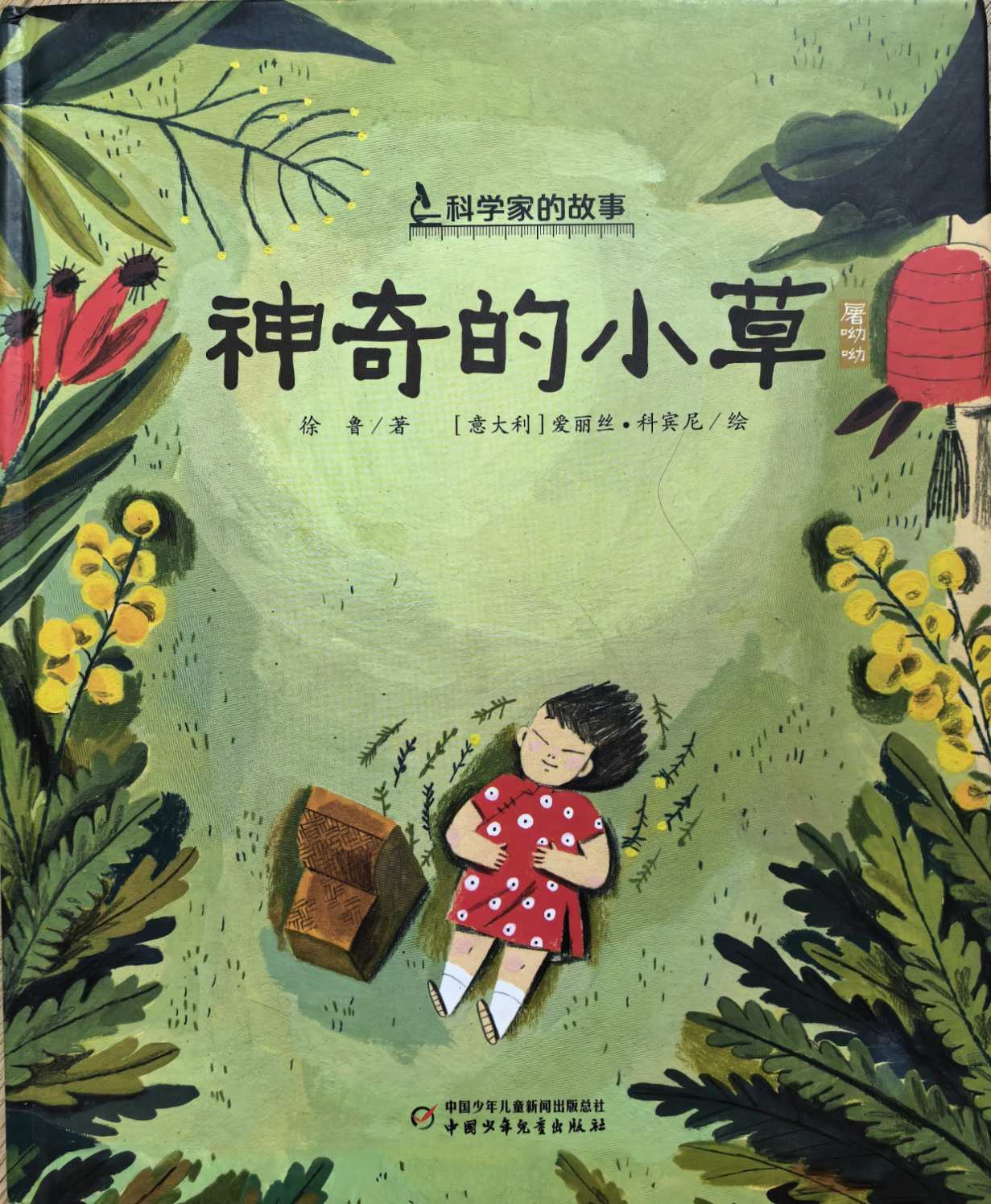 《神奇的小草》